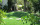 Artificial Turf